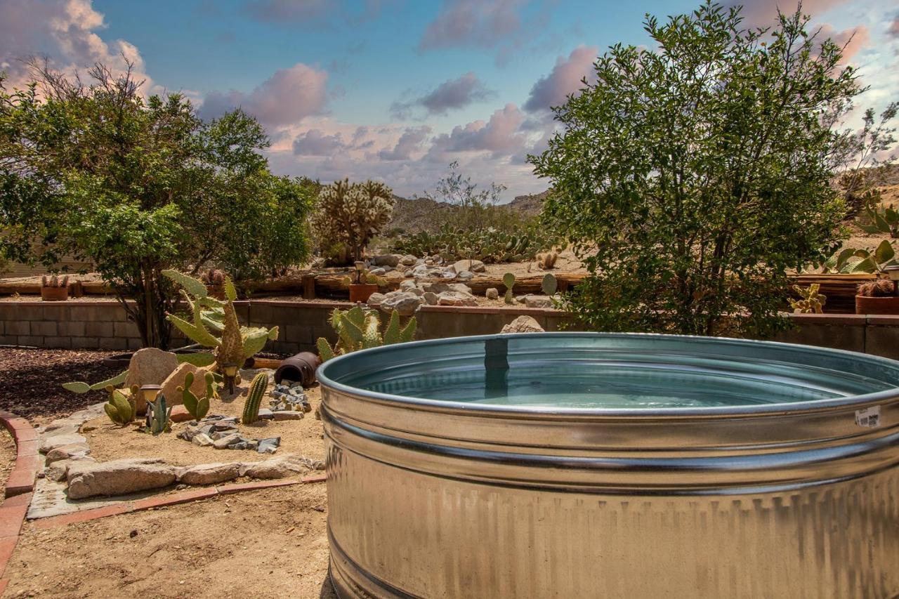 @ Marbella Lane - The Wine Mine Desert Escape Joshua Tree Zewnętrze zdjęcie